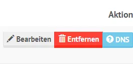 Blue DNS button
