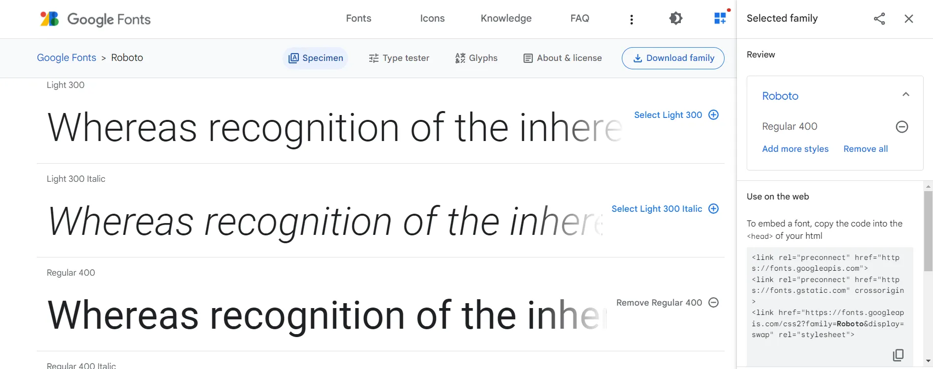 Google Fonts