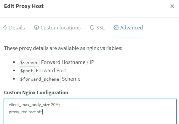 Custom Nginx Configuration