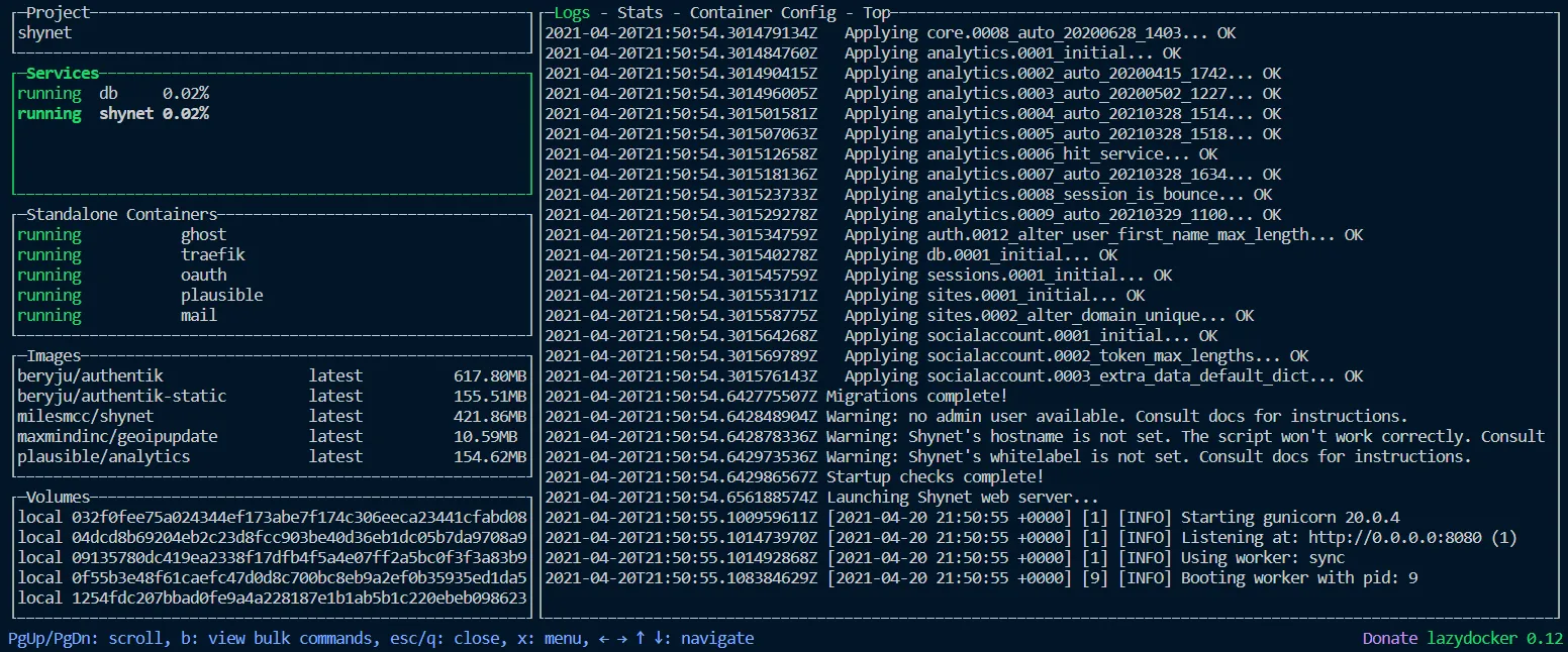 Log from Shynet